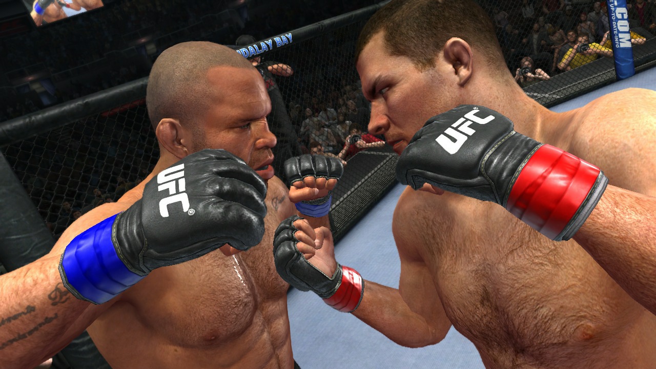 UFC Undisputed 2010 - Imagen 14